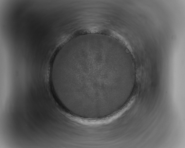 X0000087670018200705111206