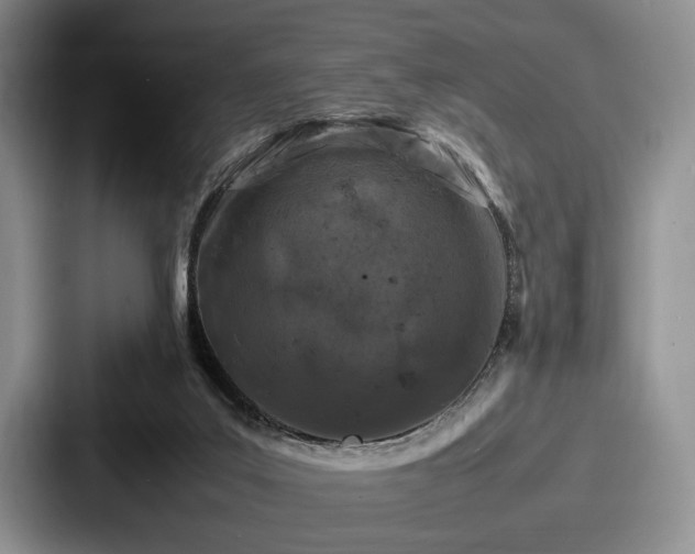 X0000087670019200705111206