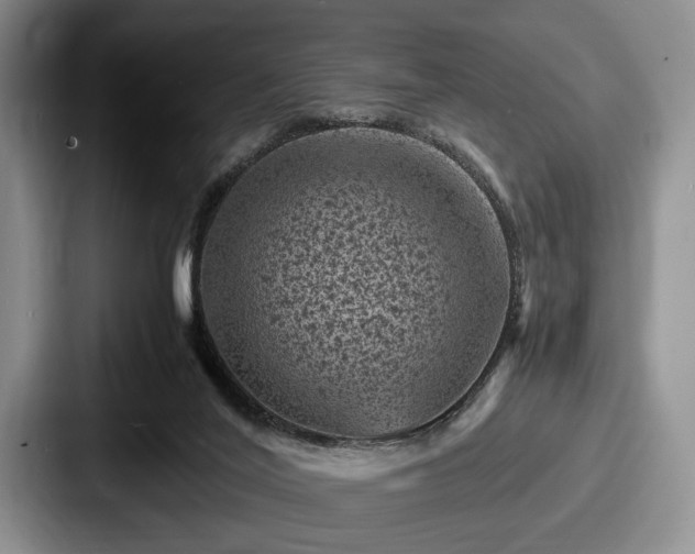 X0000087670020200705111206