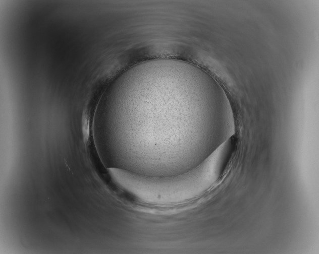 X0000087670021200705111206