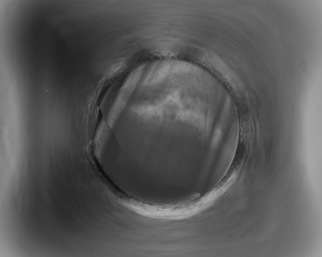 X0000087670023200705111206