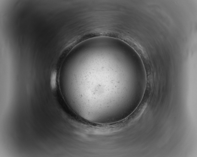 X0000087670024200705111206