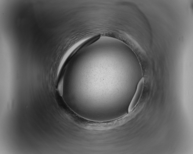 X0000087670025200705111206