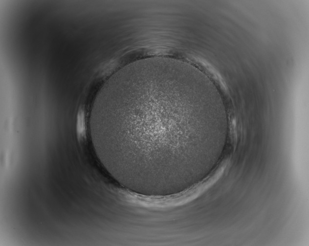 X0000087670026200705111206