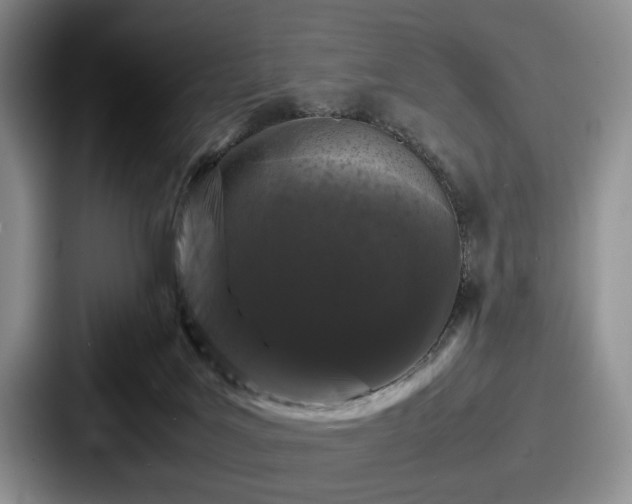 X0000087670027200705111206