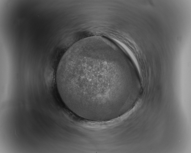 X0000087670029200705111206