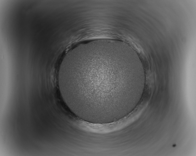 X0000087670030200705111206