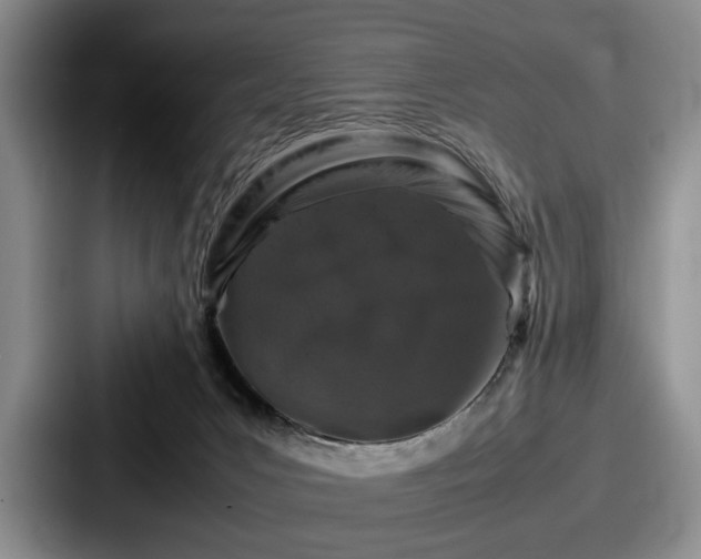 X0000087670031200705111206