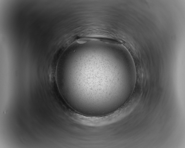 X0000087670034200705111206