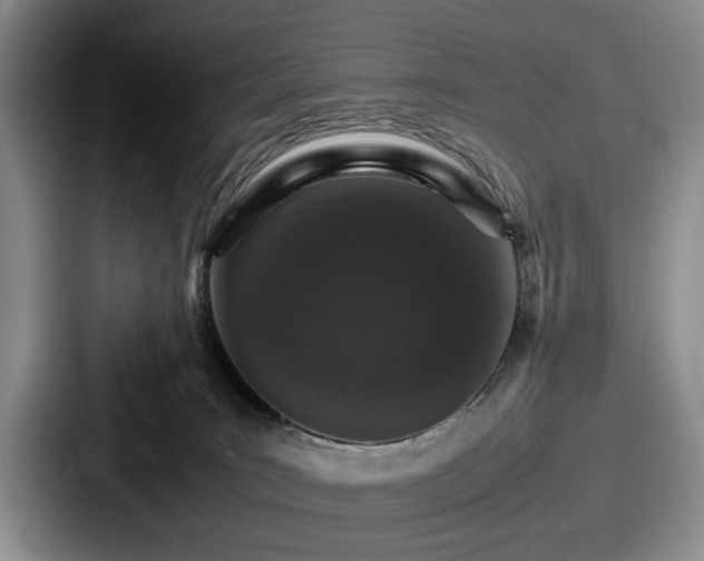 X0000087670035200705111206