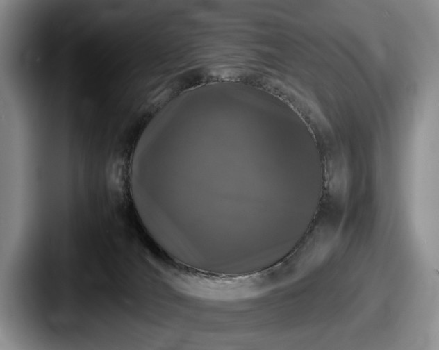 X0000087670036200705111206