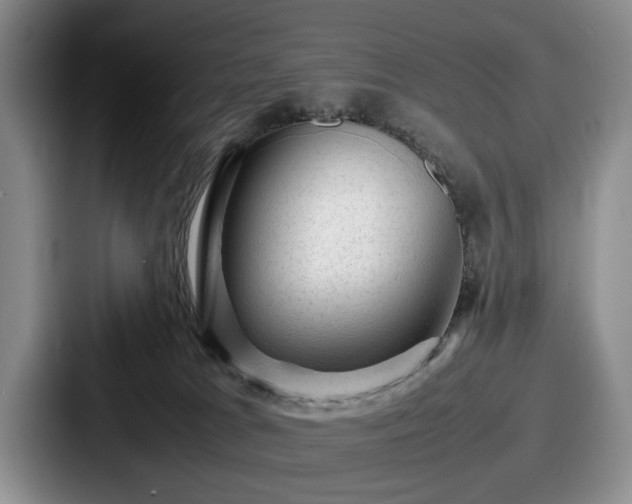 X0000087670037200705111206