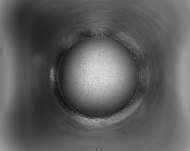 X0000087670038200705111206