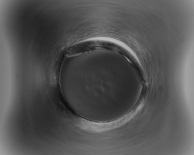 X0000087670039200705111206