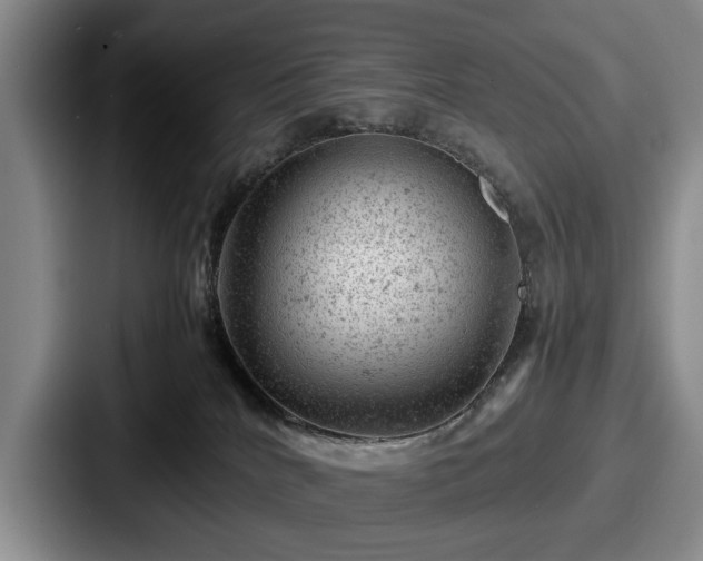 X0000087670040200705111206