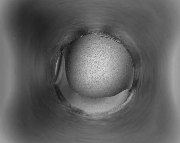 X0000087670041200705111206