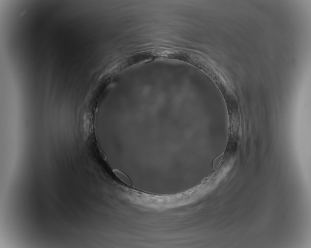 X0000087670043200705111206