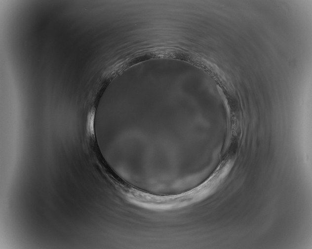 X0000087670047200705111206