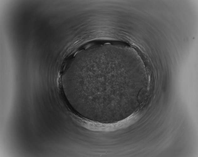 X0000087670048200705111206