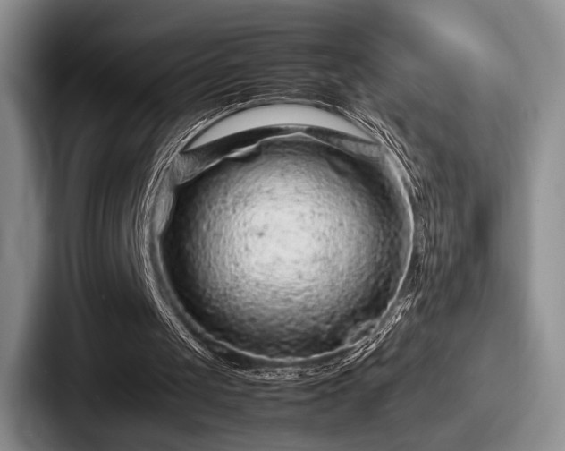 X0000087670049200705111205