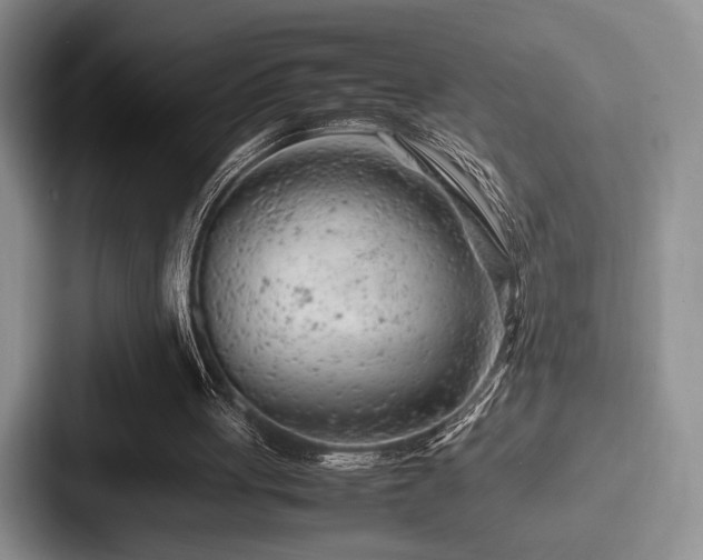 X0000087670051200705111205