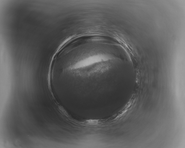 X0000087670052200705111205