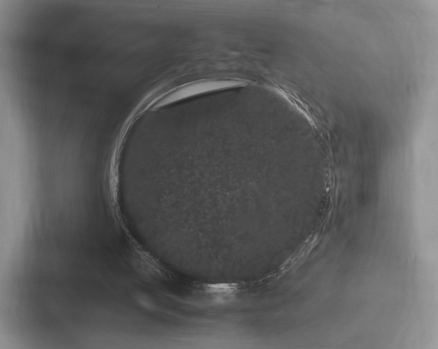 X0000087670053200705111205