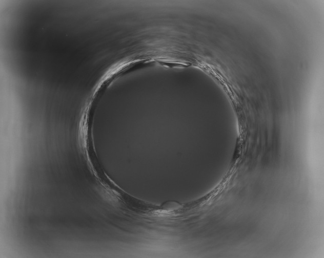 X0000087670054200705111205