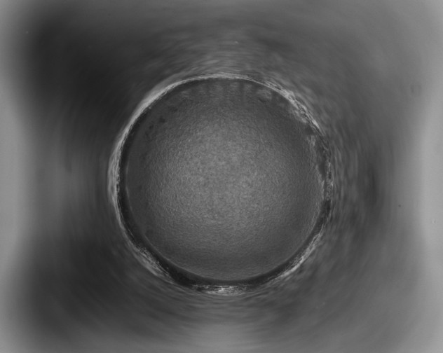 X0000087670056200705111205