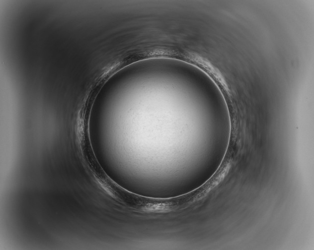 X0000087670057200705111205