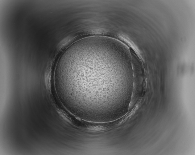 X0000087670058200705111205