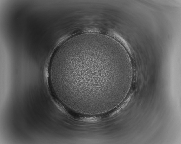 X0000087670059200705111206