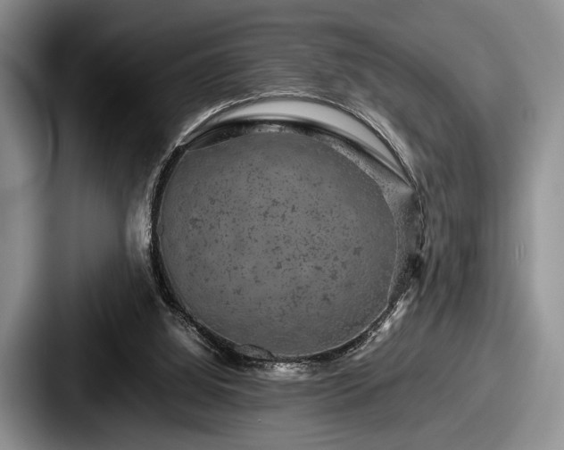 X0000087670060200705111206