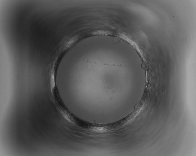 X0000087670061200705111206