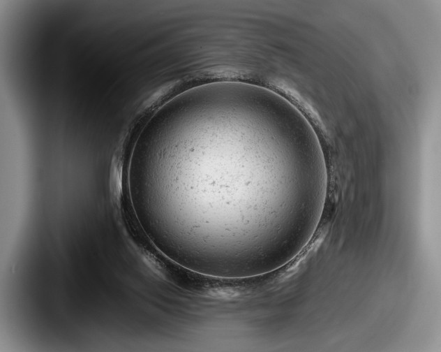 X0000087670062200705111206