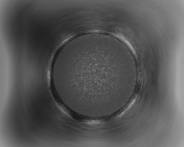 X0000087670063200705111206