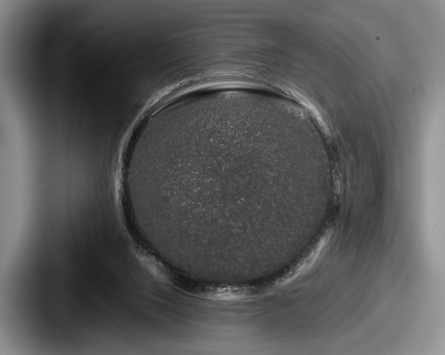 X0000087670064200705111206