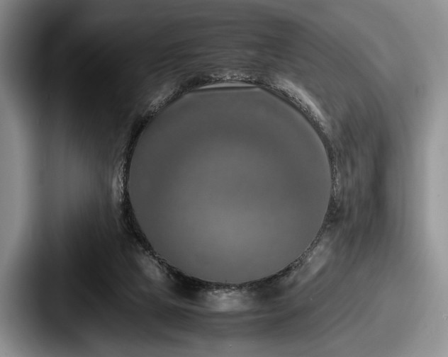 X0000087670065200705111206