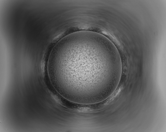 X0000087670066200705111206