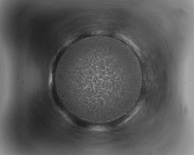 X0000087670067200705111206