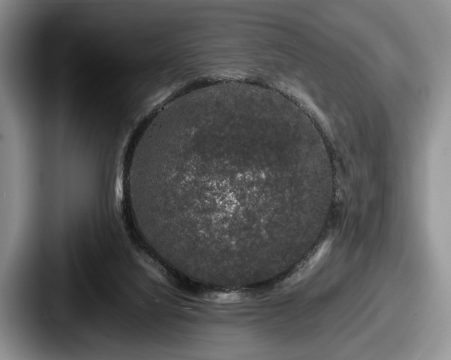 X0000087670068200705111206