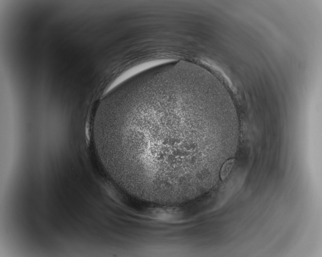 X0000087670069200705111206