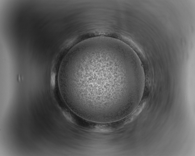 X0000087670070200705111206