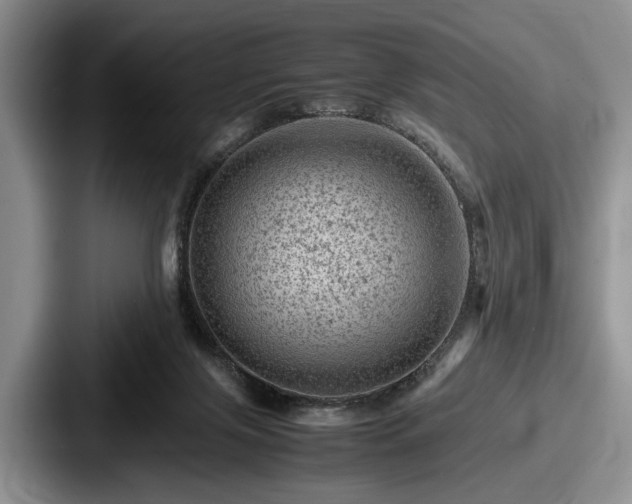 X0000087670071200705111206