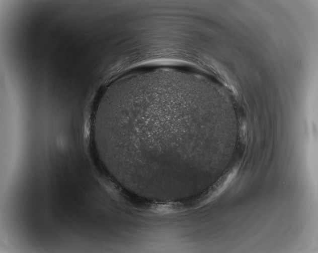 X0000087670072200705111206