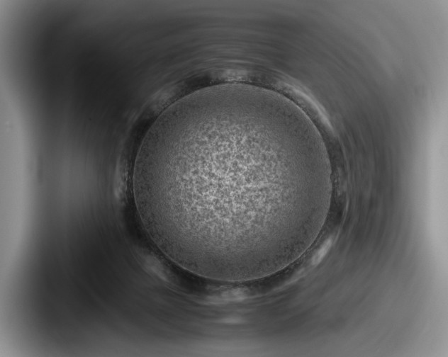 X0000087670073200705111206