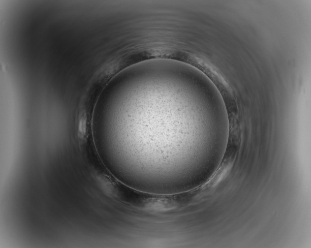 X0000087670074200705111206