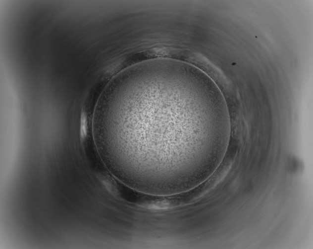 X0000087670075200705111206