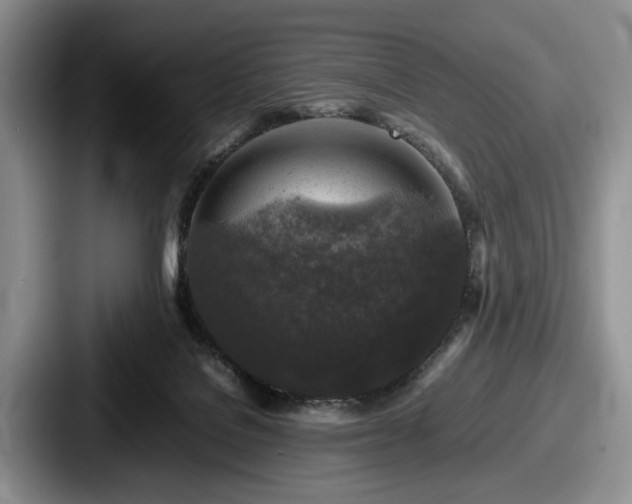 X0000087670076200705111206