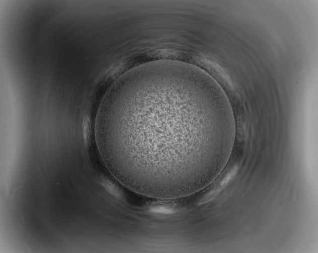 X0000087670077200705111206